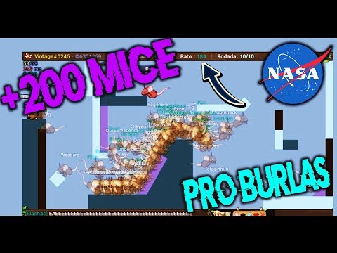 Transformice - Brkrmn
