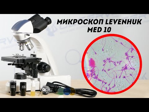 Медицинский Микроскоп Levenhuk MED 10 | Тест | Обзор