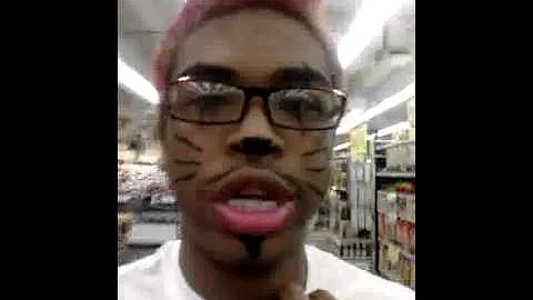 Kitty life