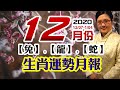 【兔、龍、蛇】2020年12月份生肖運勢月報（庚子年戊子月）｜好運來抱抱｜12/07-1/04｜金玲老師（有字幕）