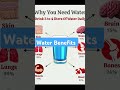 Amazing Water Benefits #trending #habitsthatchangeyourlife #learnadaybyisha #shorts