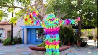 Men's Pinata Costume