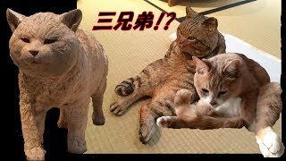 はしもとみお『木のどうぶつたち』に♂猫だいずが居た(笑)【♀猫こむぎ＆♂猫だいず】