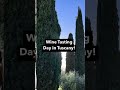 One of the best parts about moving  to Italy, is having world-class wine at your doorstep!