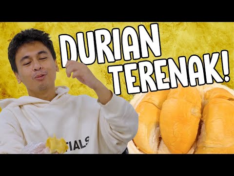 Video: Mengapa durian duri hitam begitu mahal?