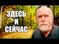 Видео для тех, кто хочет испытать переживание Реальности. Роберт Адамс