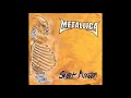Metallica - Sweet Amber (Guitar Only)