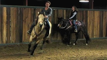 Newt Bronco Bueno - 2/16/12 warm up at barrel race 2 - Valley View Ranch