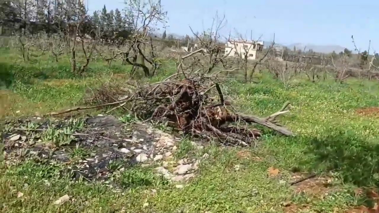 فيرما للبيع  سدي عدي. 7 هكتار. بها كورا  سكنى كولها 60 مليون  كاين 5 هكتار المنزل صفرو 0679444657