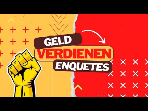 Hoe Kun je Online Geld Verdienen met Enquetes (in Nederland)?