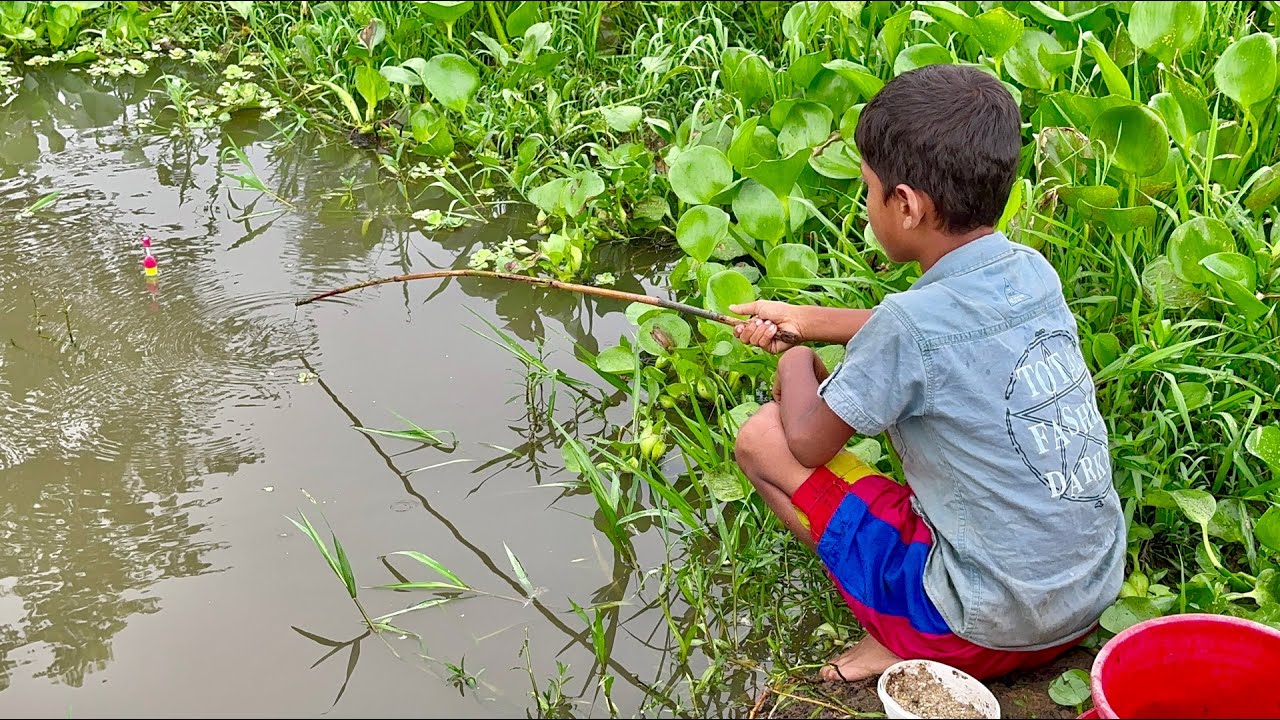 Fishing Video ✅️|| catching fish by rod ~ Traditional hook fishing in the village canal 🥰🥰