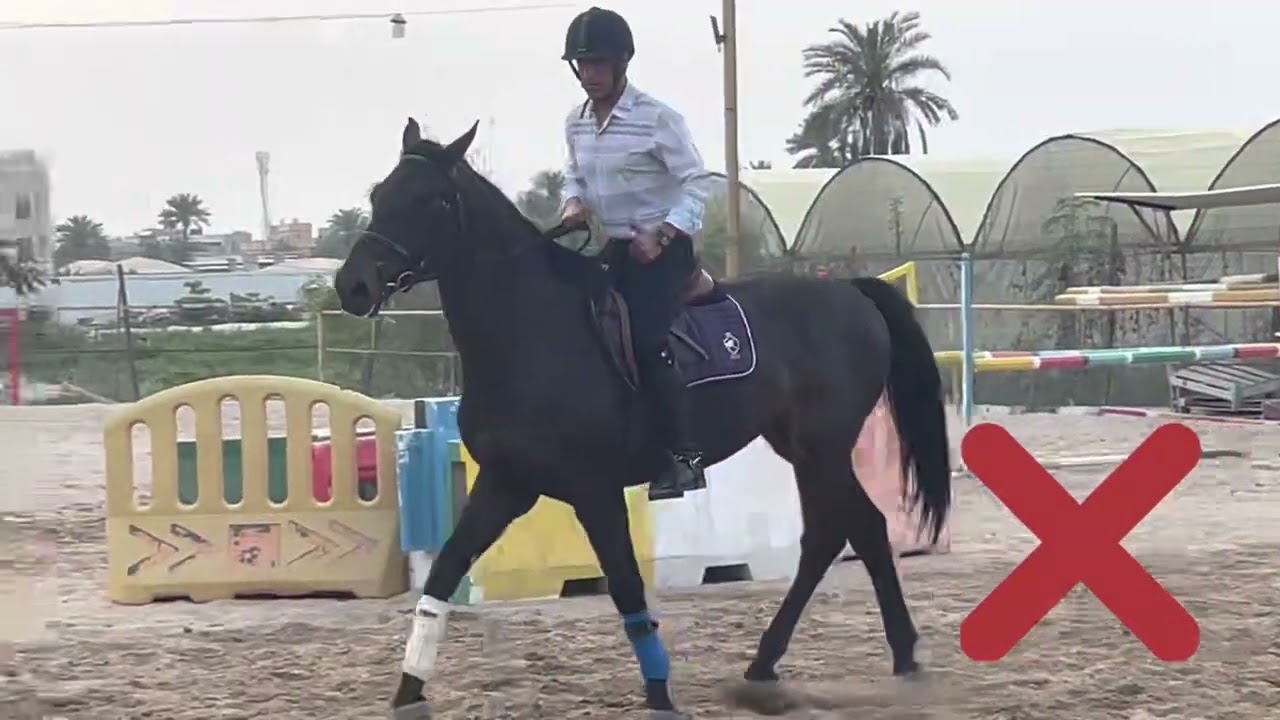 مهارات الفروسية مع المدرب سامي غزوان