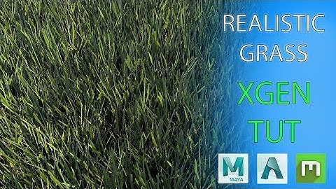 REALISTIC GRASS in MAYA 2019 // Megascans + XGEN