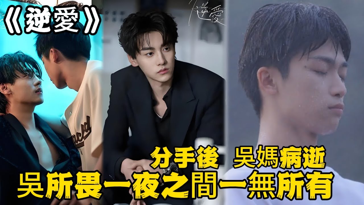 《逆愛》：大結局！分手後，吳媽病逝，吳所畏一夜之間一無所有，他決定出門散心，結果池騁小帥都追來了#田栩宁 #梓渝 #吴所畏 #池骋 #逆爱 #Revenged Love