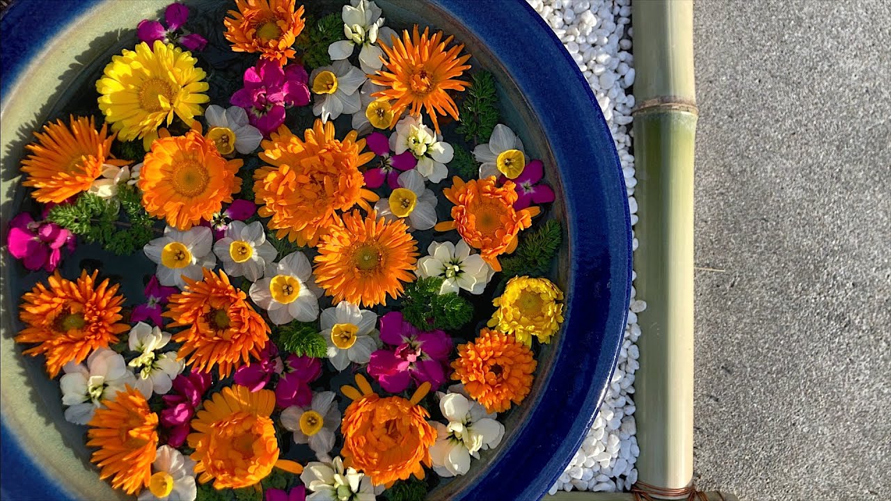 行田 花手水week 希望の光 ライトアップイベント 22年1月15日 Youtube