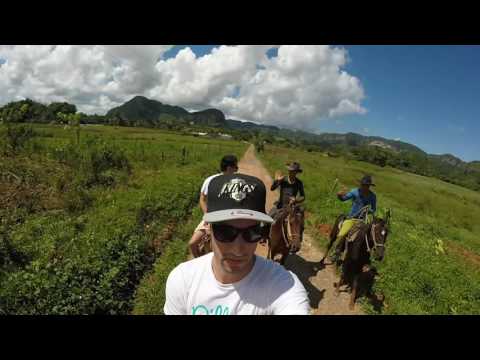 Vídeo: O Fim Das Minhas Fantasias Equestres Em Trinidad, Cuba - Rede Matador