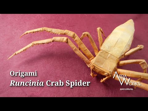 I Spent 16 Hours Making This | Origami Runcinia Crab Spider | Art Time-Lapse, One Uncut Square Paper I Spent 16 Hours Making This | Origami Runcinia Crab Spider | Art Time-Lapse, One Uncut Square Paper
