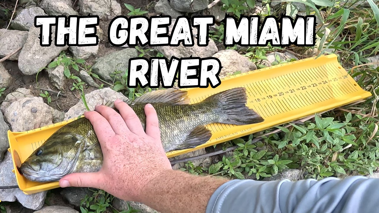Fishing for GIANT Smallmouth in Ohio's Great Miami River