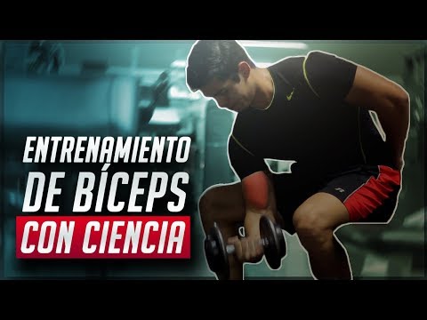 Video: Cómo Entrenar Bíceps