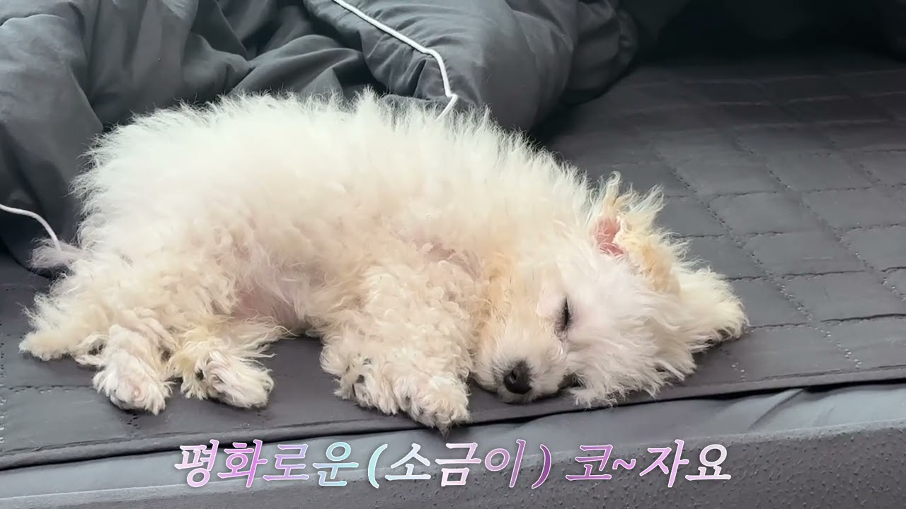 쉼터 힐링합니다 💖  감사합니다🥰