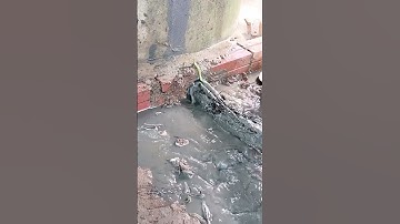 Unclogging Culvert Drain #unclog #cloggeddrain #clogged #remove #satisfying #shorts