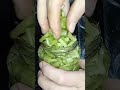 تصبير القرنينة اذا مازال مادرتيهاش سارعي قبل ما تخلاص Taghediwtfoodcool cooking اكسبلور mp3