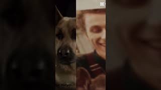 It Didnt Fit This Is From Pup Academy And The Dog Is King, Human Is Morgan The1Andonlywompwomp.