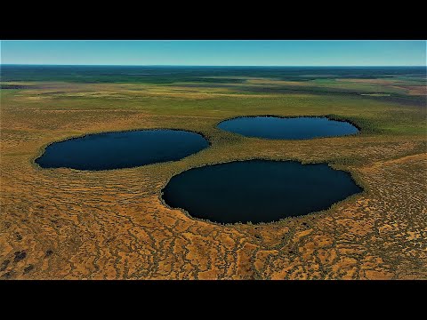 ТЯЖЁЛАЯ ЭКСПЕДИЦИЯ! ЗИМНИК, БОЛОТА! БЕШЕНЫЙ, СУМАСШЕДШИЙ, ЖОР ОКУНЯ НА ДИКИХ ОЗЁРАХ ТАЙГИ....