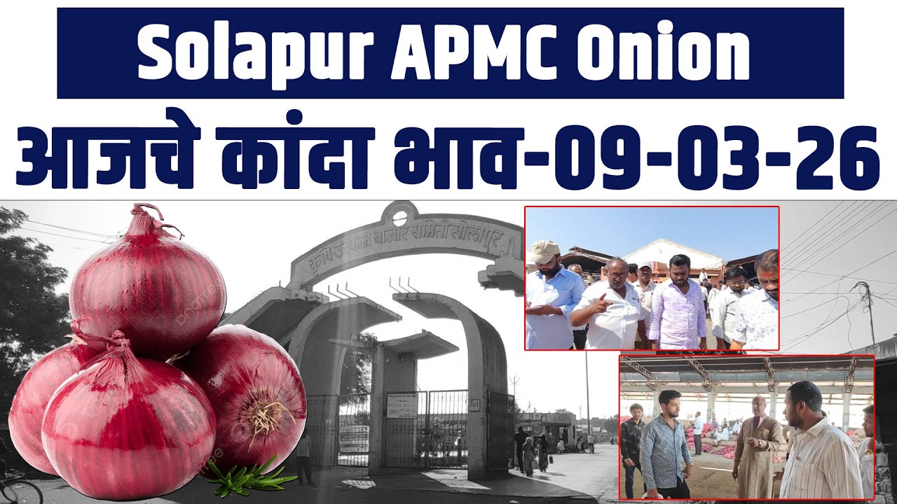 Solapur APMC Onion: आजचे कांदा भाव-09-03-26