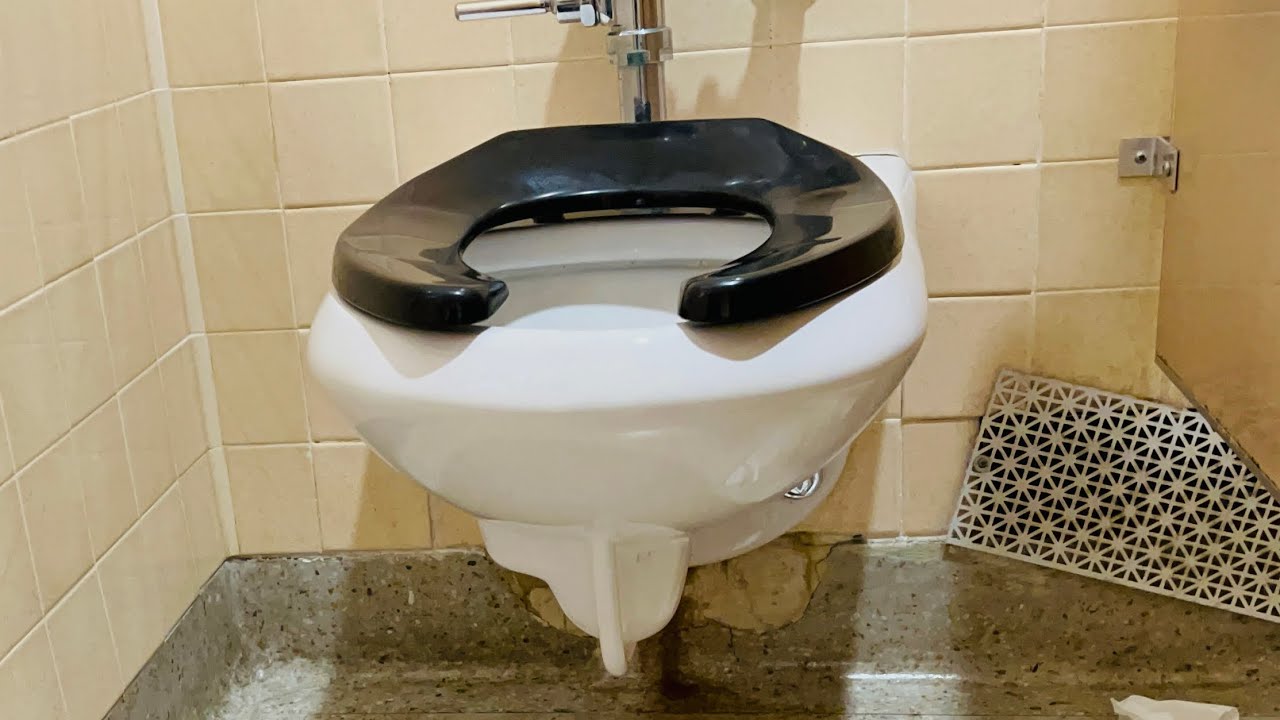 SLOAN Toilet Flush Desensitization Training YouTube