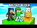 NON PROVARE A RUBARE A NICO su MINECRAFT! - BIG SKYBLOCK