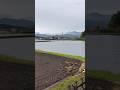 Rice cultivation. paddy field preparation in Tochigi prefecture Japan #tamilsong #タミル音楽