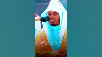 "تلاوة رائعة للشيخ ياسر الدوسري"