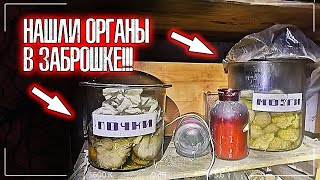 НАШЛИ ОРГАНЫ в ЗАБРОШЕННОМ доме! К чему привели ЖУТКИЕ ОПЫТЫ? | Шокирующие находки | Проклятое место