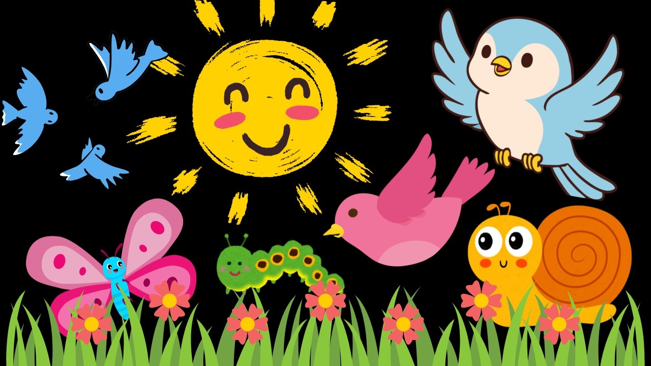 Springtime Birds and Bugs baby sensory video high contrast visual ...