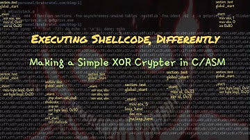 Just x86 asm and shellcoding