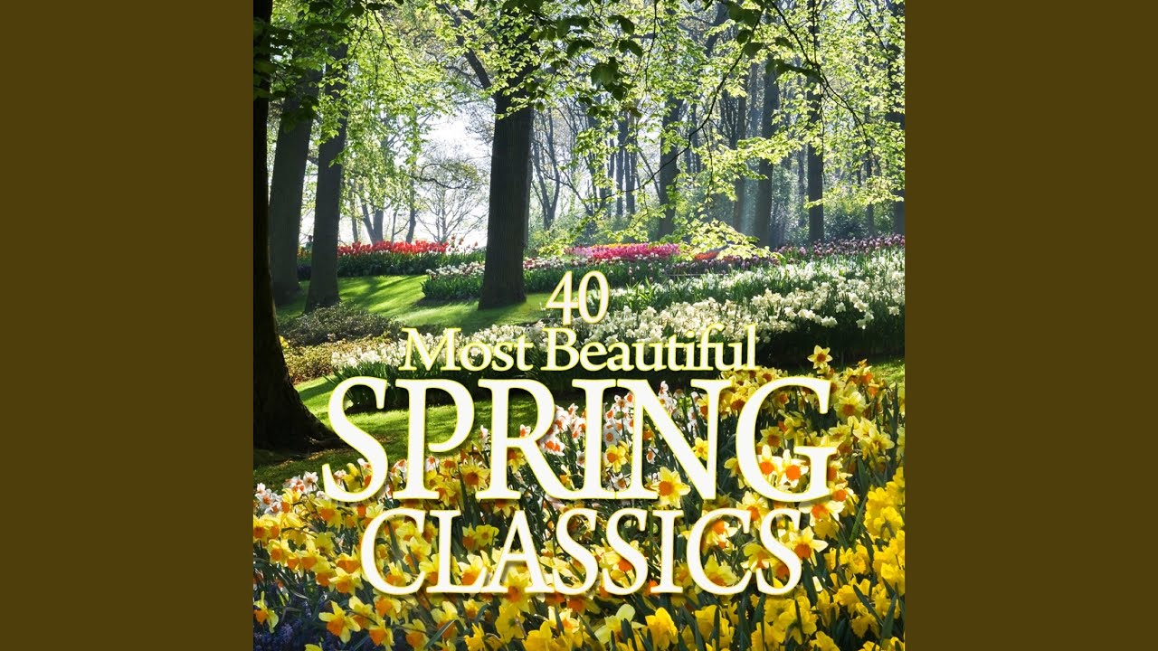 Assista a Organ Concerto No. 13 in F Major, HWV 295 "The Cuckoo and the Nightingale": II. Allegro no YouTube