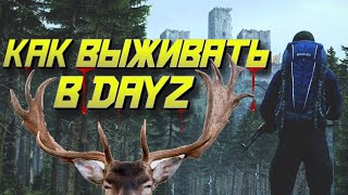 КАК ВЫЖИВАТЬ В DAYZ В 2023 ГОДУ|ГАЙД ДЛЯ НОВИЧКОВ УРОКИ ВЫЖИВАНИЯ В ЛЕСУ