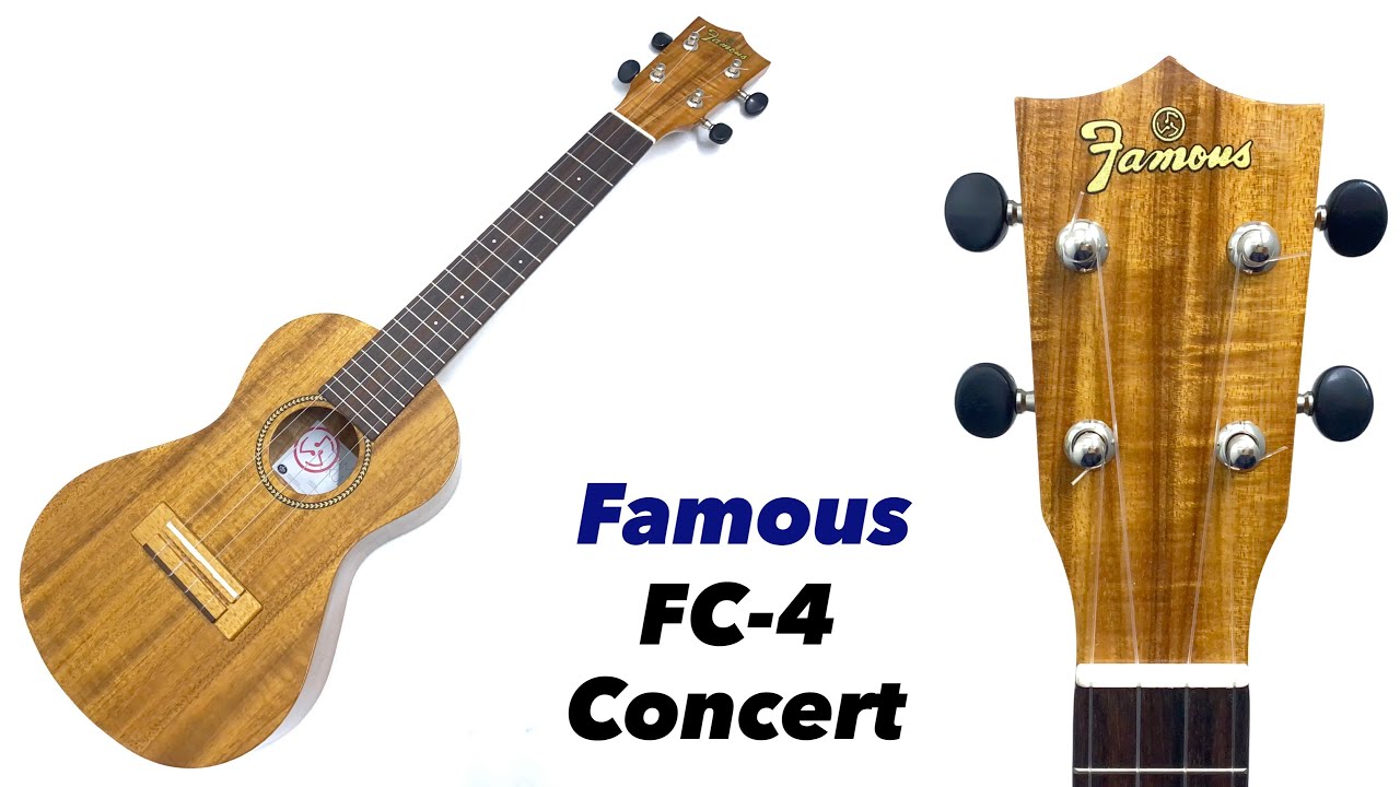 【Famous】FC-4　コンサートサイズ