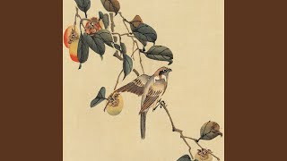 Pedar - Safar Gelardi
