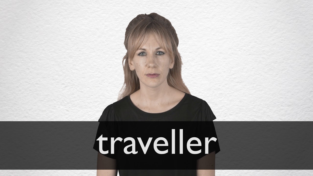 definition of fellow traveller