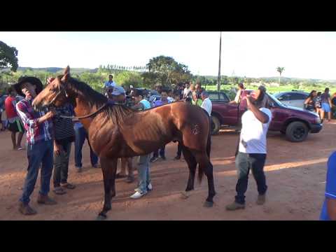 Vitória do cavalo Red Bull em Santa Maria Eterna/BA