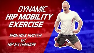 Dynamic Hip Mobility Exercise – Shin Box Switch