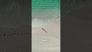 Tabola bale - Silet open up, jackson seran, juan reza, Diva aurel #lagupestatimur#liriklaguindo#fyp