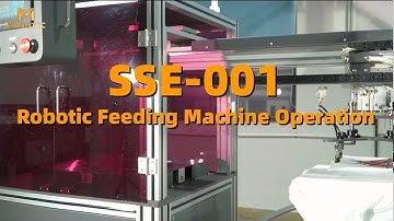 Automatic DTF Film Feeding Machine | Full Setup and Operation Guide