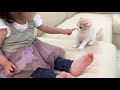 生まれて初めて子猫が女の子と対面したらまさかのこうなりました…笑