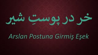 Arslan Postuna Girmiş Eşek خر در پوست شیر