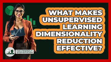 What Makes Unsupervised Learning Dimensionality Reduction Effective? - The Friendly Statistician