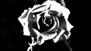 State Faults "Divination"