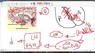 PTH cont y final / Adrenal endocrinology USMLE STEP 1